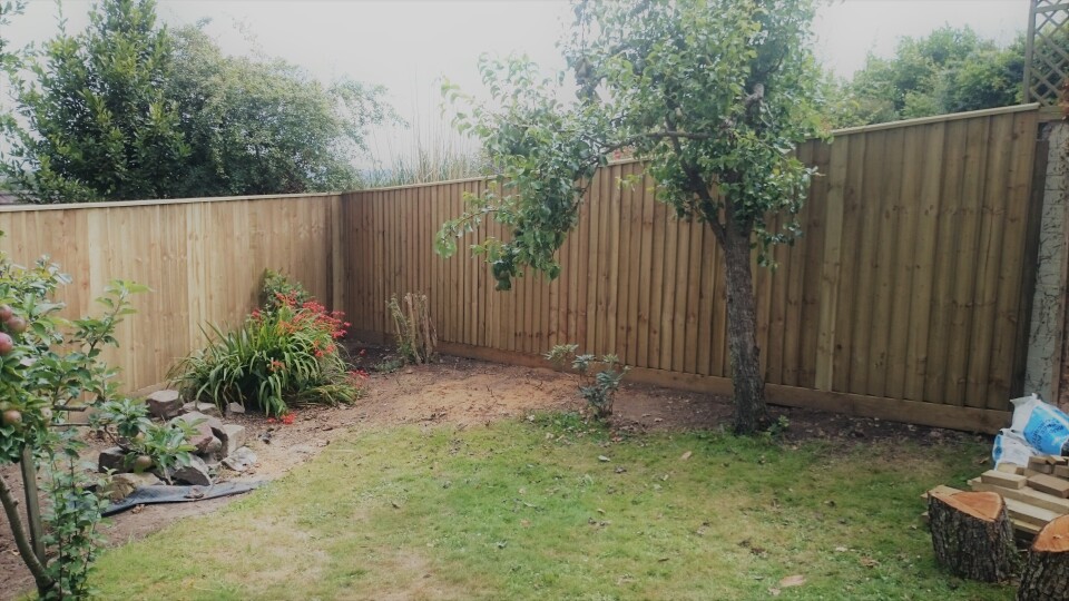 FenceTreelineImg