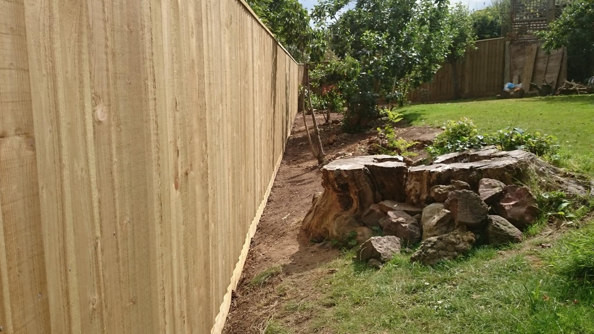 FenceTreelineImg