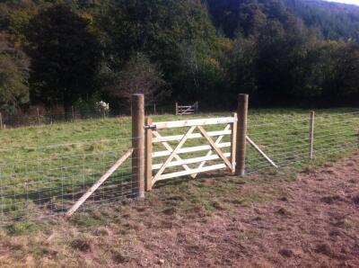 FenceTreelineImg