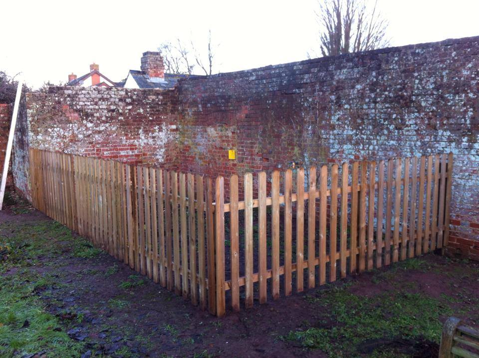 FenceTreelineImg