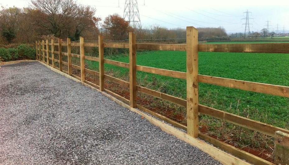 FenceTreelineImg