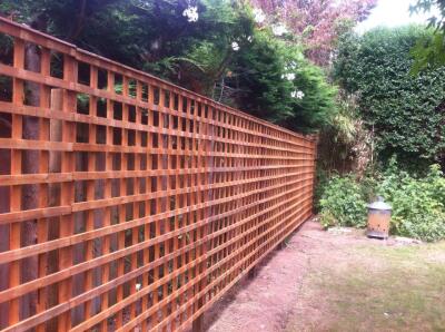 FenceTreelineImg